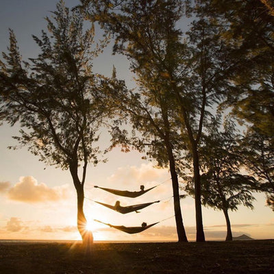 The Hammock by David Lowry